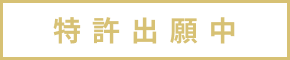 特許出願中